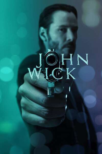 John Wick Hindi Dubbed Movie Poster (2014)