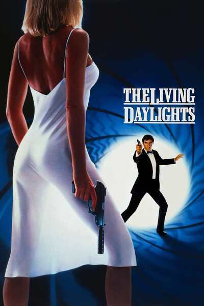 The Living Daylights Hindi Dubbed Movie Poster (1987)