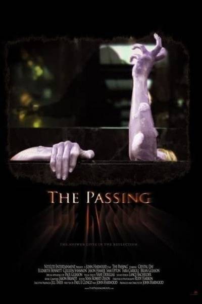 The Passing Hindi Dubbed Movie Poster (2011)