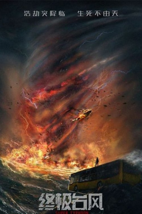 Super Typhoon Hindi Dubbed Movie Poster (2020)