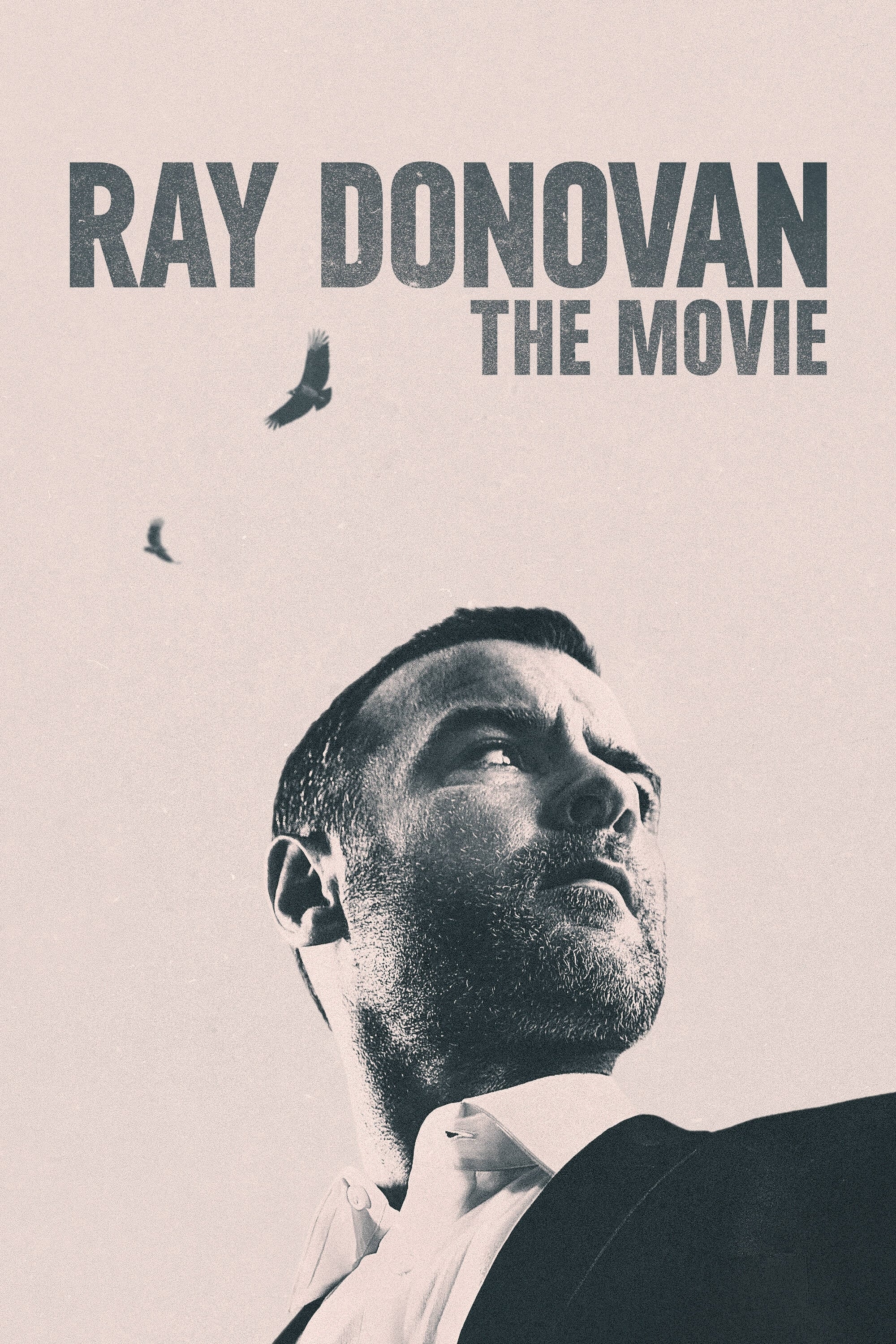 Ray Donovan: The Movie Hindi Dubbed Movie Poster (2022)
