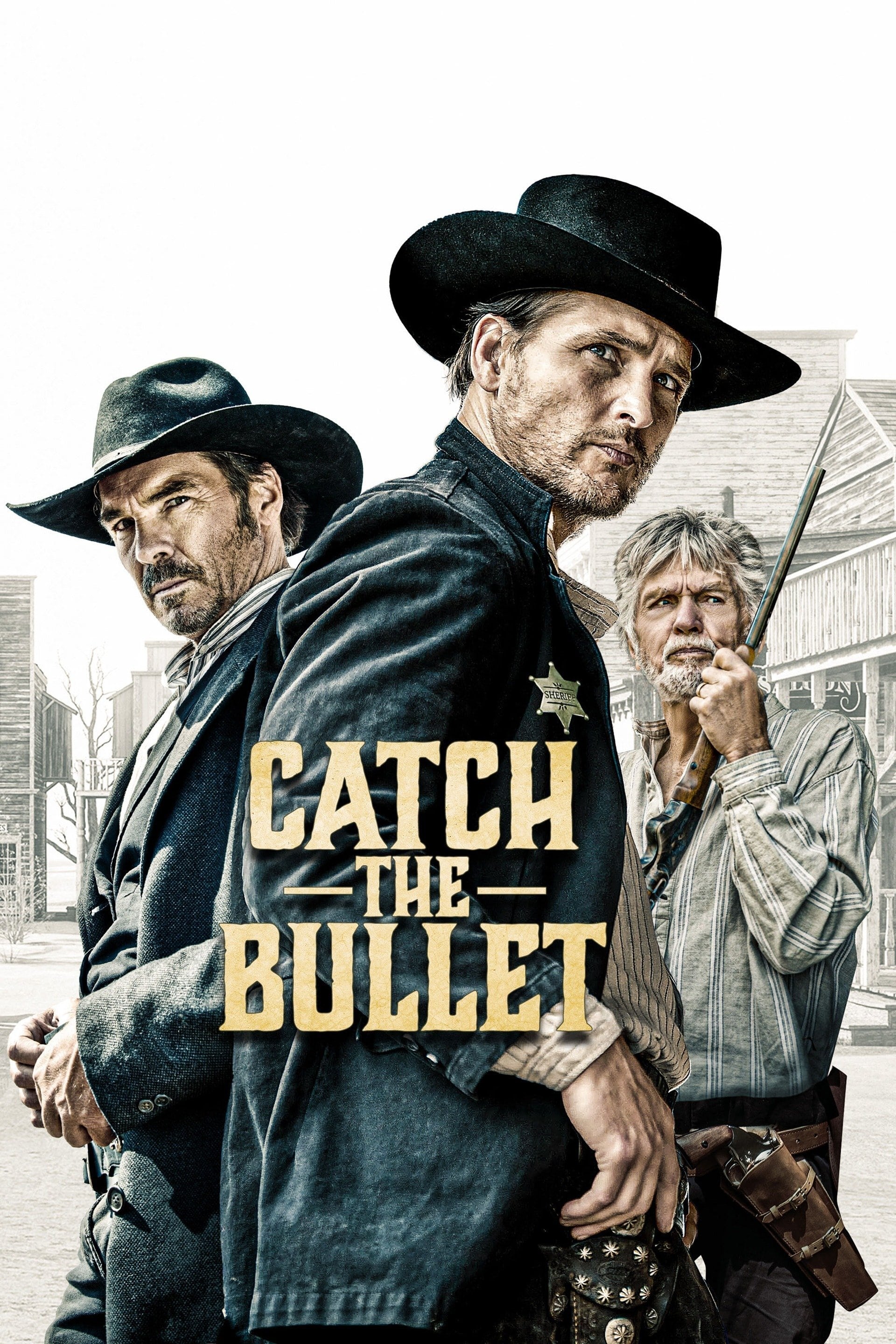 Catch the Bullet Hindi Dubbed Movie Poster (2021)