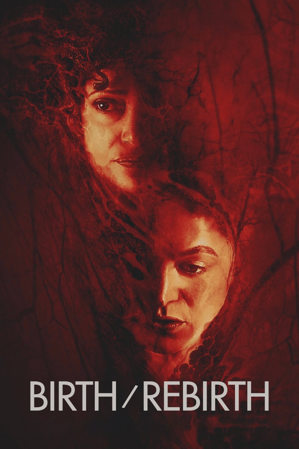 Birth/Rebirth Hindi Dubbed Movie Poster (2023)