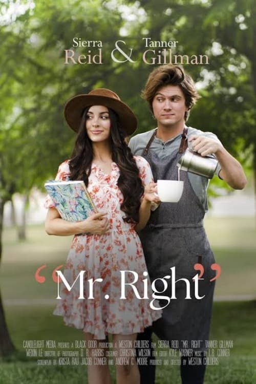 Mr. Right Hindi Dubbed Movie Poster (2023)