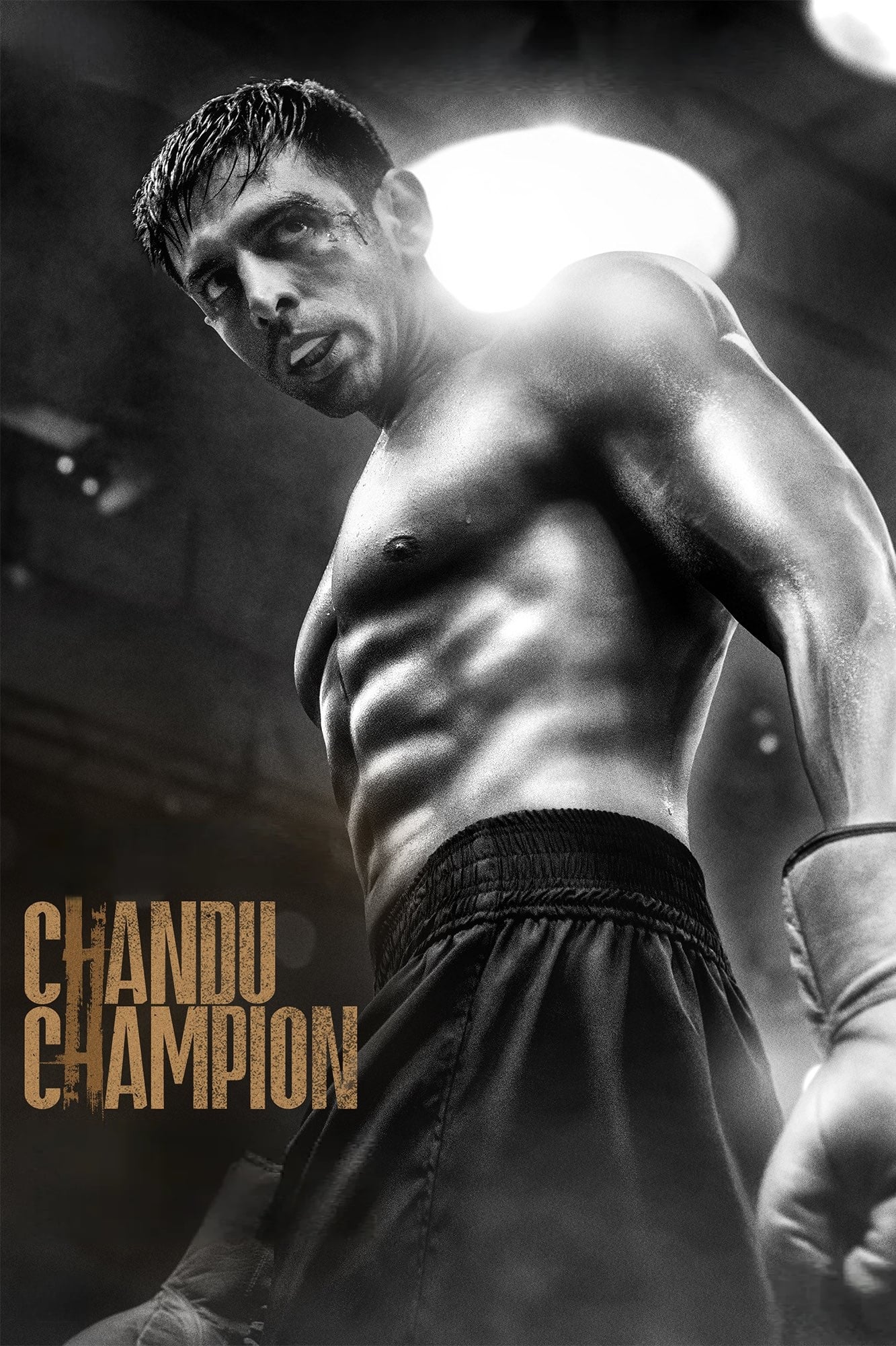 Chandu Champion Hindi Dubbed Movie Poster (2024)