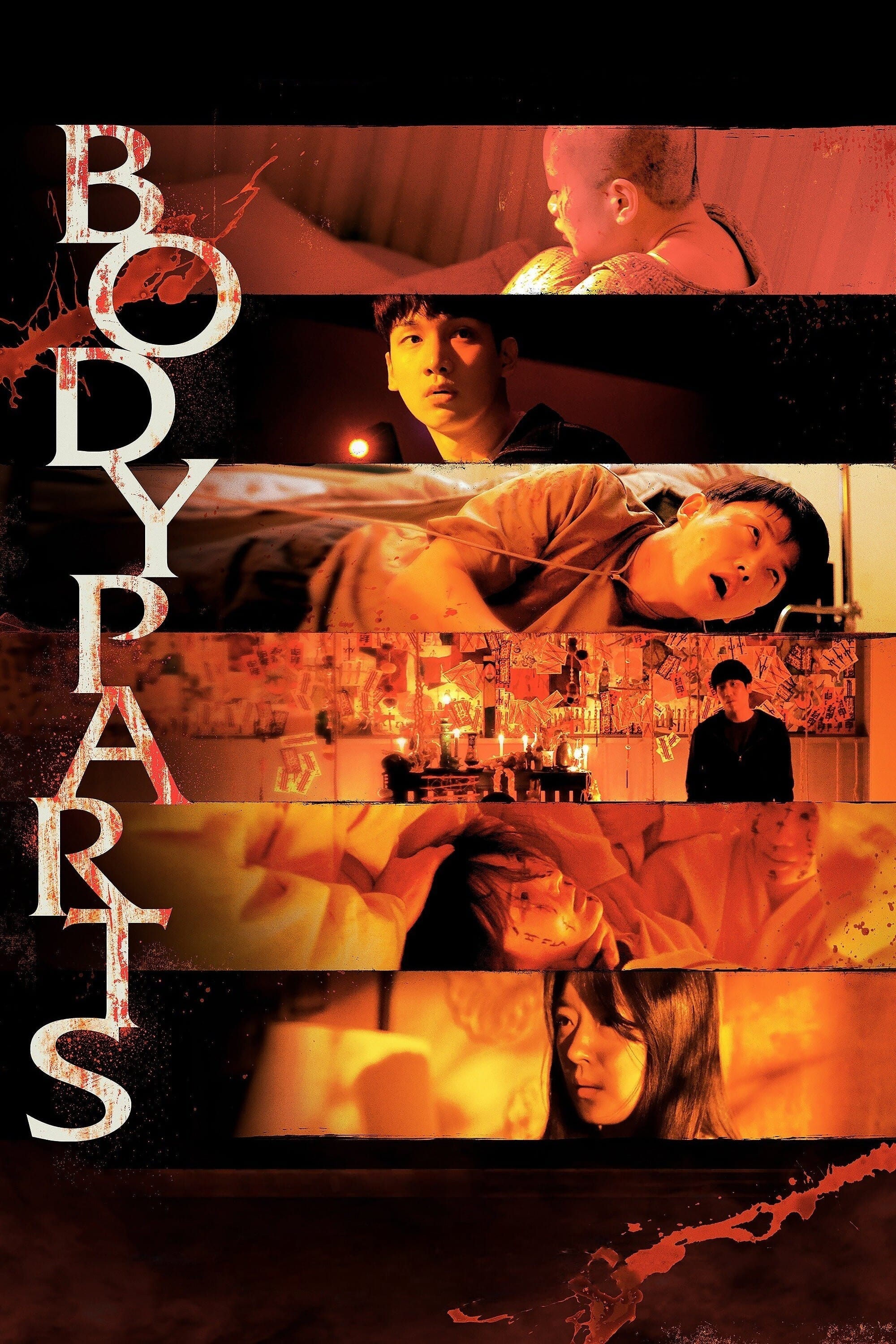 Body Parts Hindi Dubbed Movie Poster (2023)