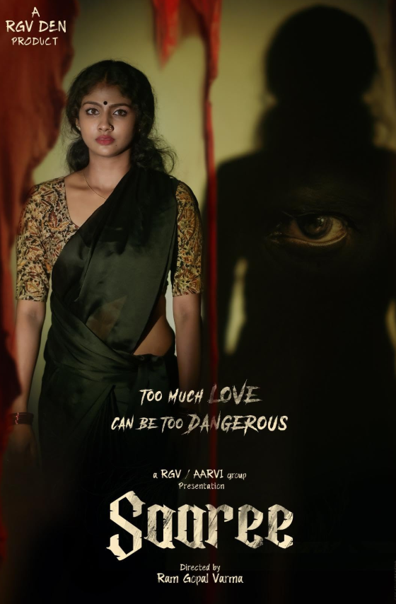 Saaree Hindi Dubbed Movie Poster (2025)