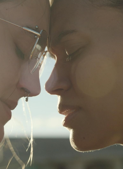 Ride or Die Hindi Dubbed Movie Poster (2025)