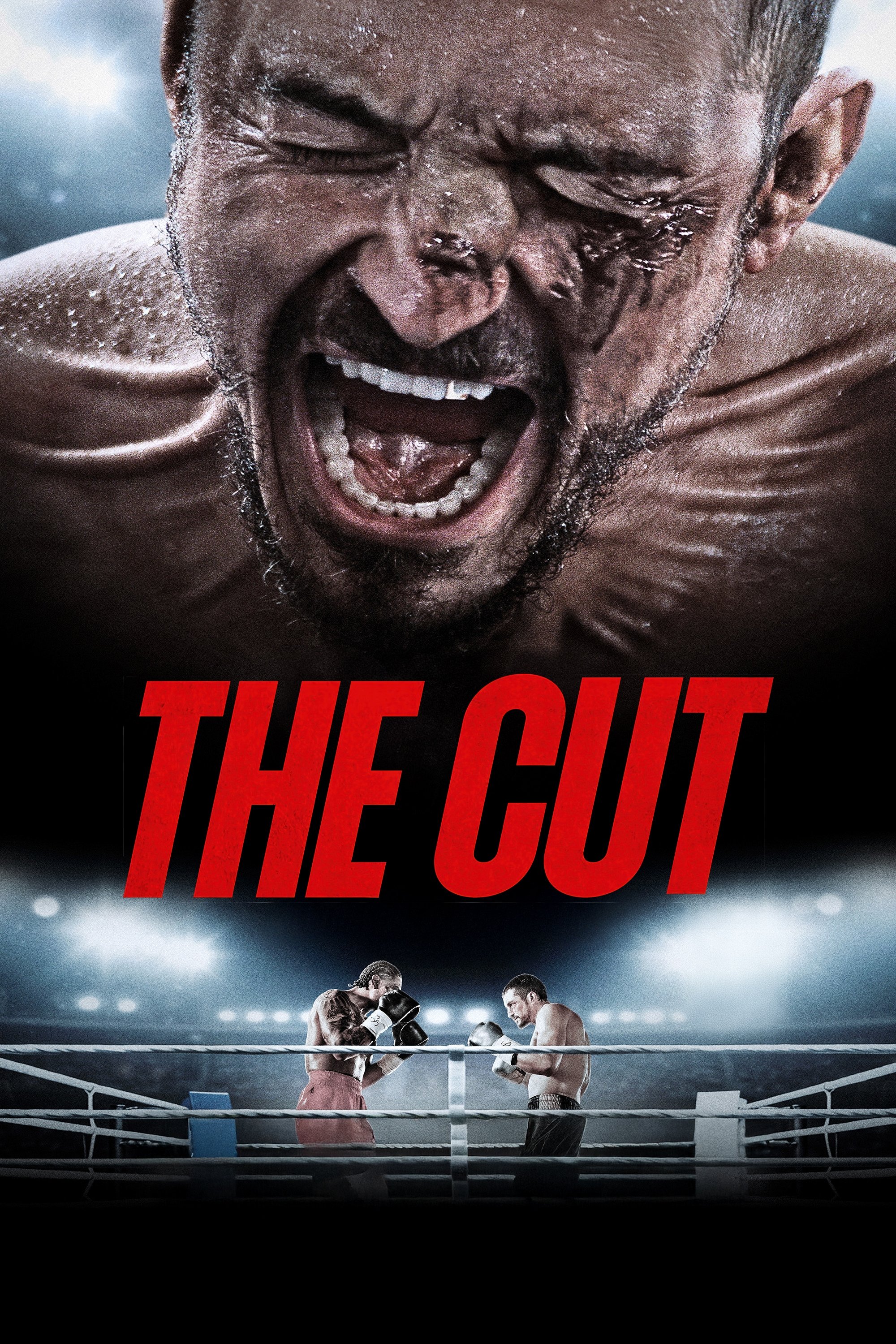 The Cut Hindi Dubbed Movie Poster (2025)