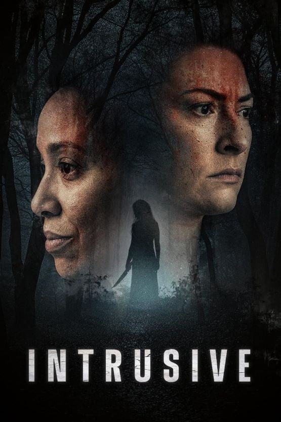 Intrusive Hindi Dubbed Movie Poster (2024)