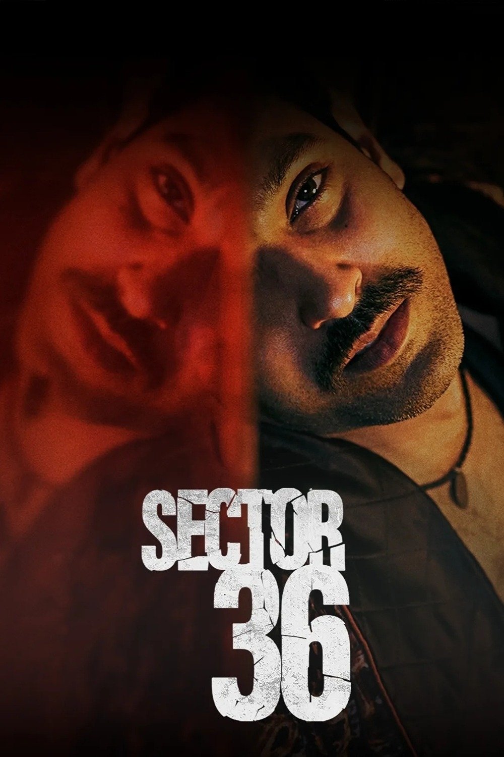 Sector 36 Hindi Dubbed Movie Poster (2024)